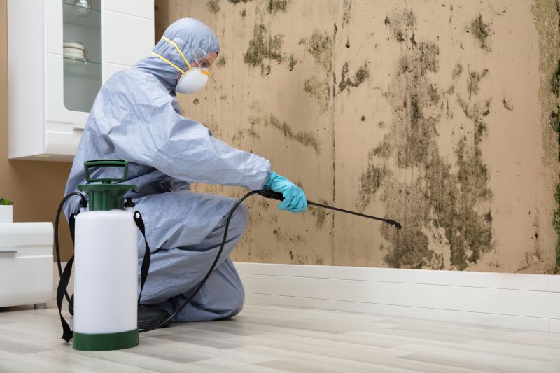 Local Mold Prevention pros at work